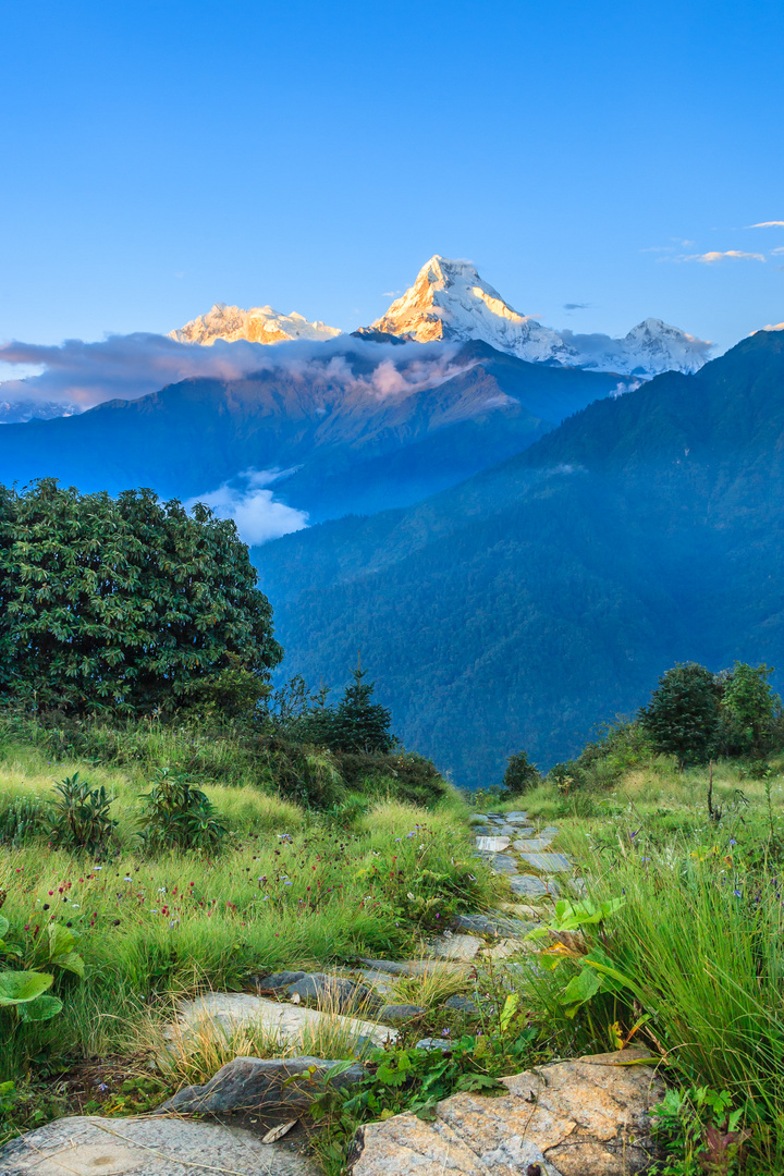 Wanderweg im Himalaya