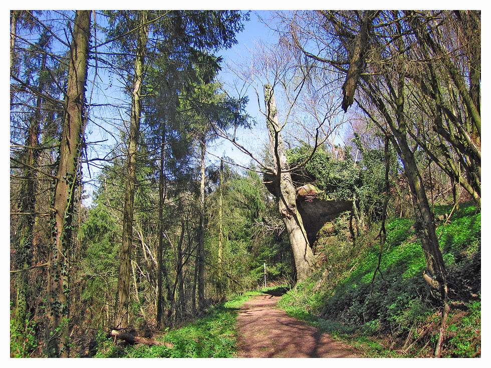 Wanderweg im Leukbachtal