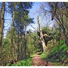 Wanderweg im Leukbachtal