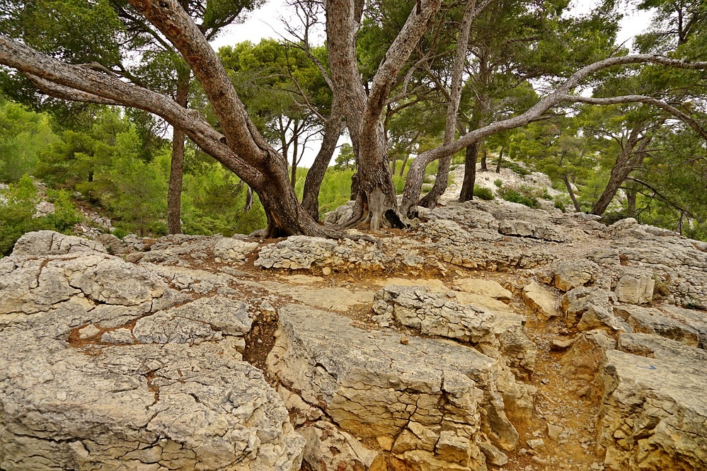 Wanderweg im Massif Puget