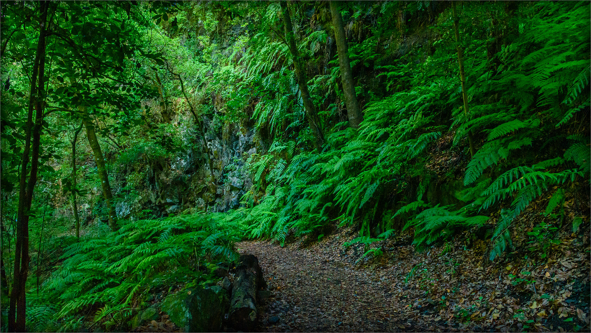 Wanderweg im Naturreservat Monte el Canal