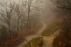 Wanderweg im Nebel