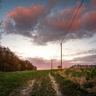 Wanderweg im Osnabrücker Land 