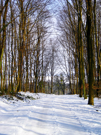 Wanderweg im Schnee