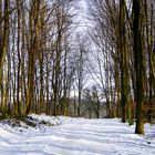 Wanderweg im Schnee