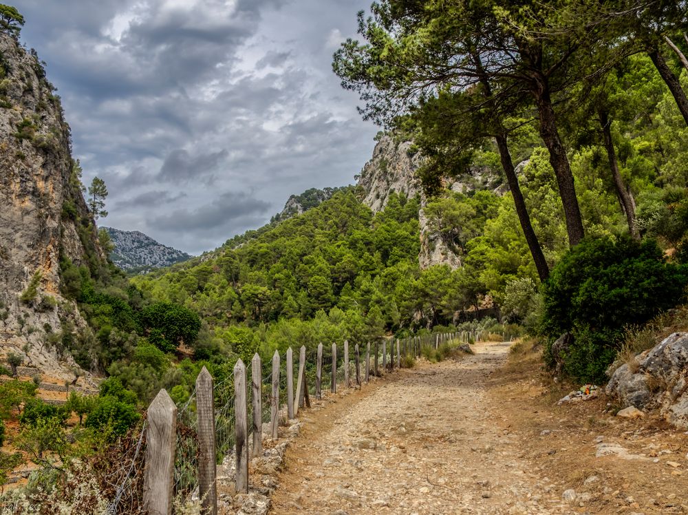 Wanderweg im Tramontanagebirge