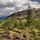 Wanderweg im Ultental.