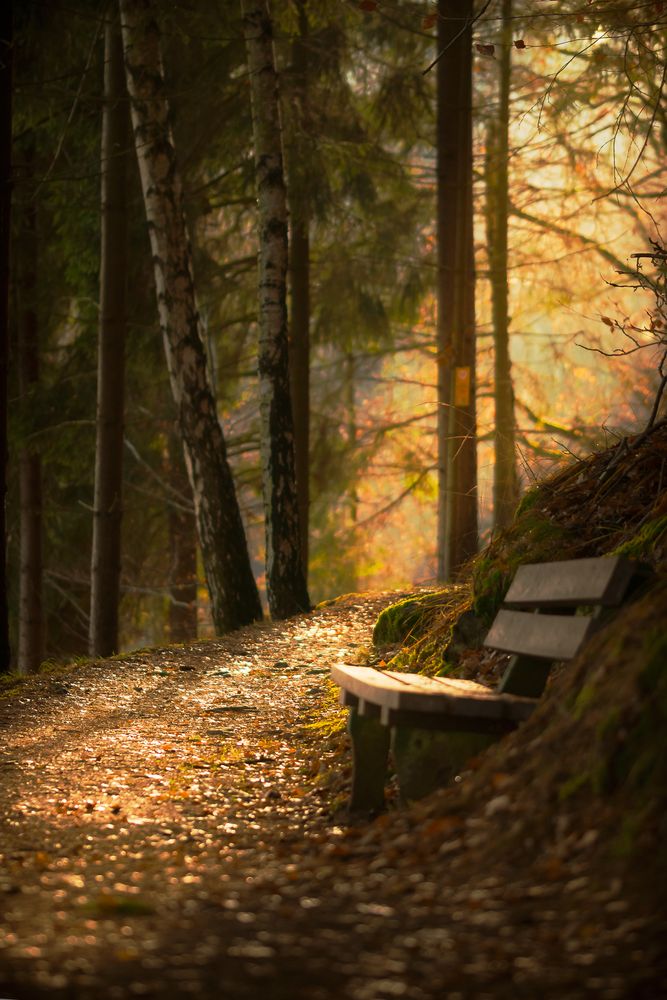 Wanderweg im Vogtland