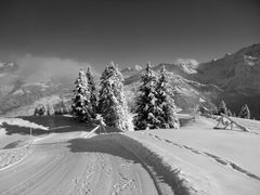 Wanderweg im Winter