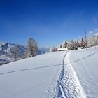 Wanderweg im Winter
