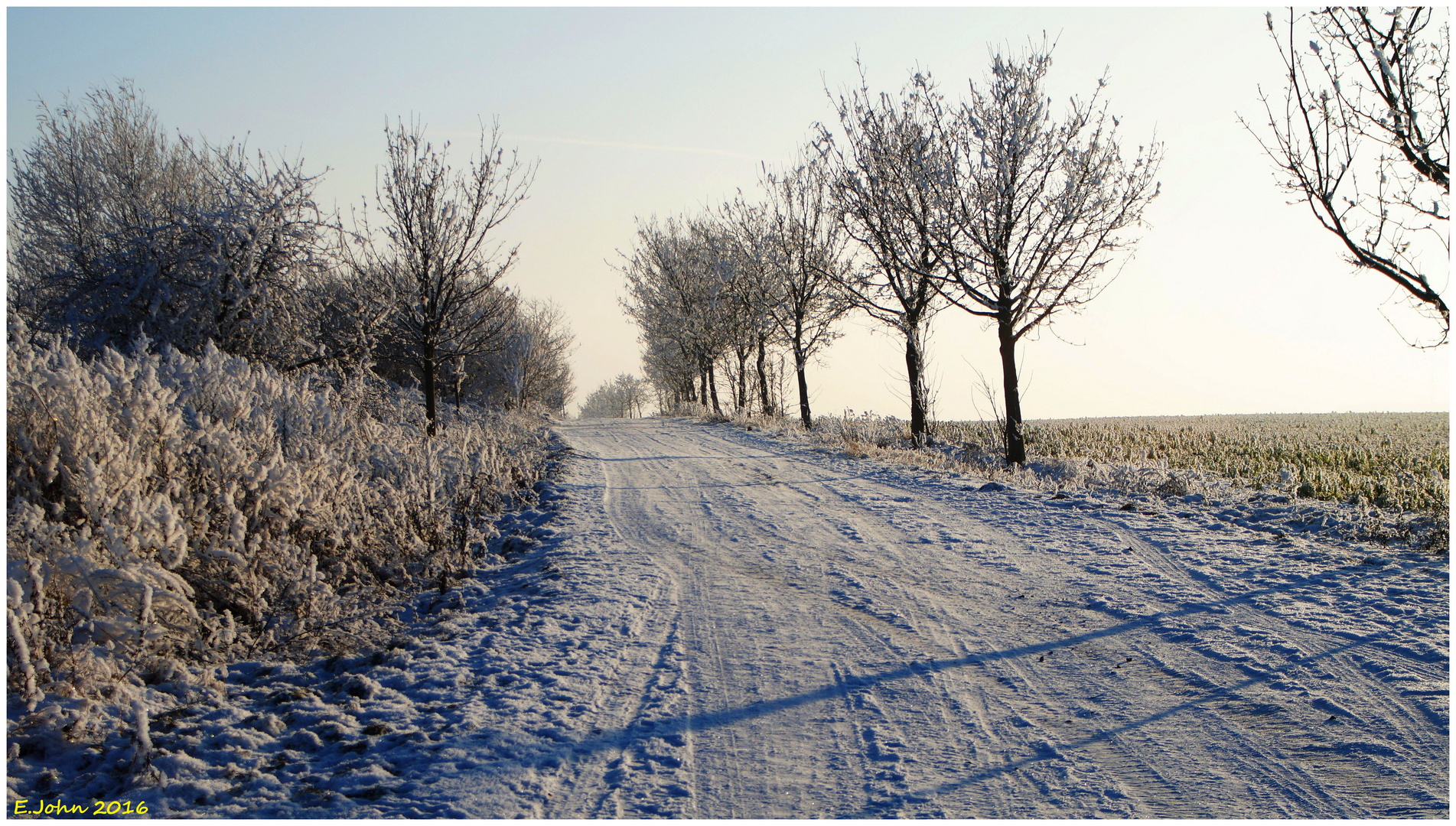 Wanderweg im Winter bei Nordhausen am Harz