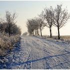 Wanderweg im Winter bei Nordhausen am Harz