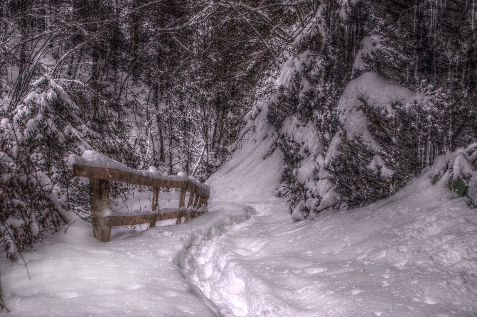 Wanderweg im Winter