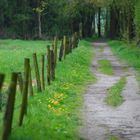 Wanderweg im Zwillbrocker Venn