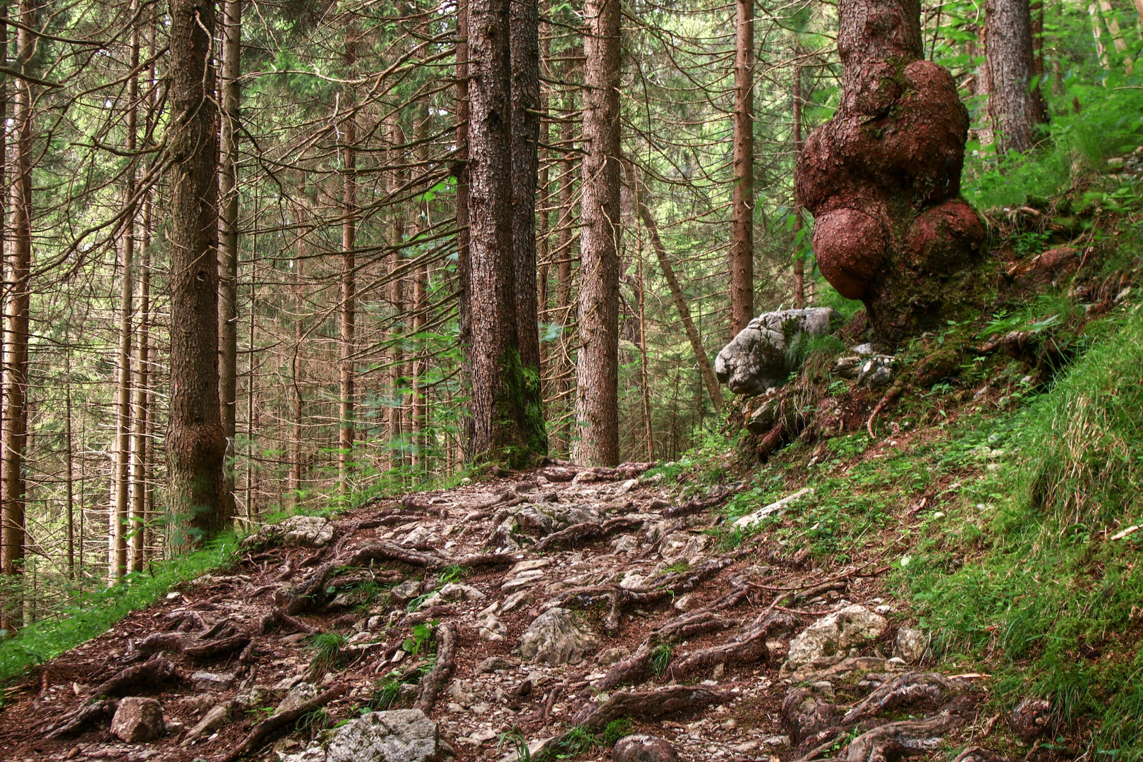 Wanderweg in den Allgäuer Hochalpen