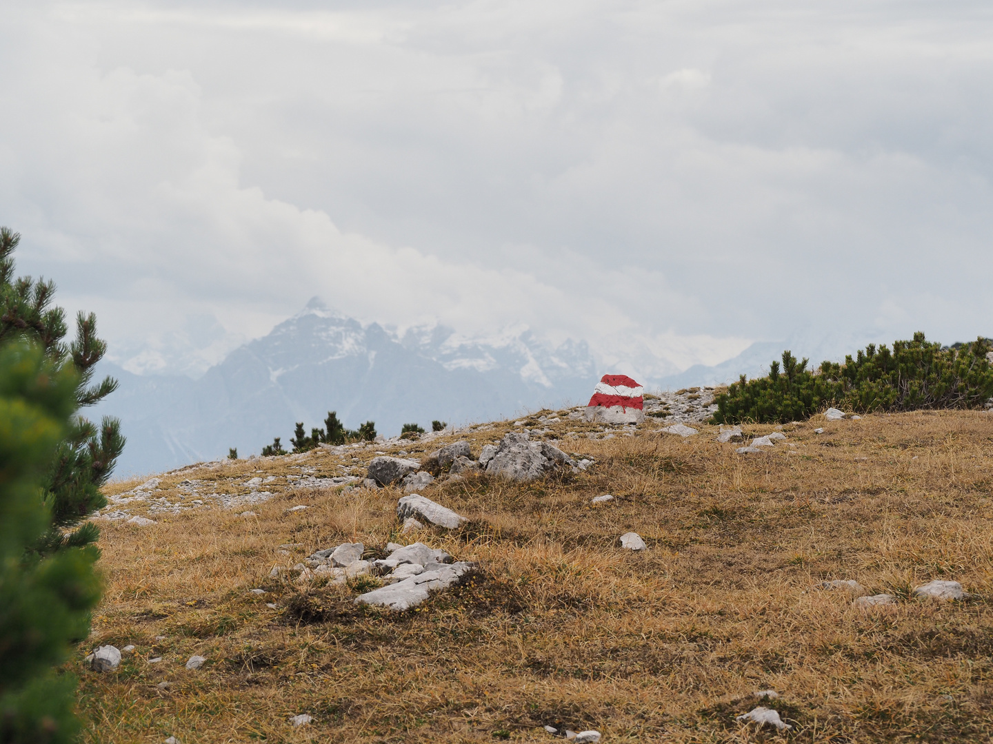 Wanderweg in den Alpen