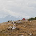 Wanderweg in den Alpen