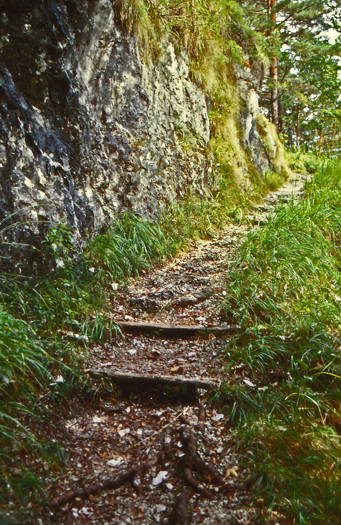 Wanderweg in den Bayerischen Bergen