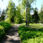 Wanderweg in der Böhmischen Schweiz