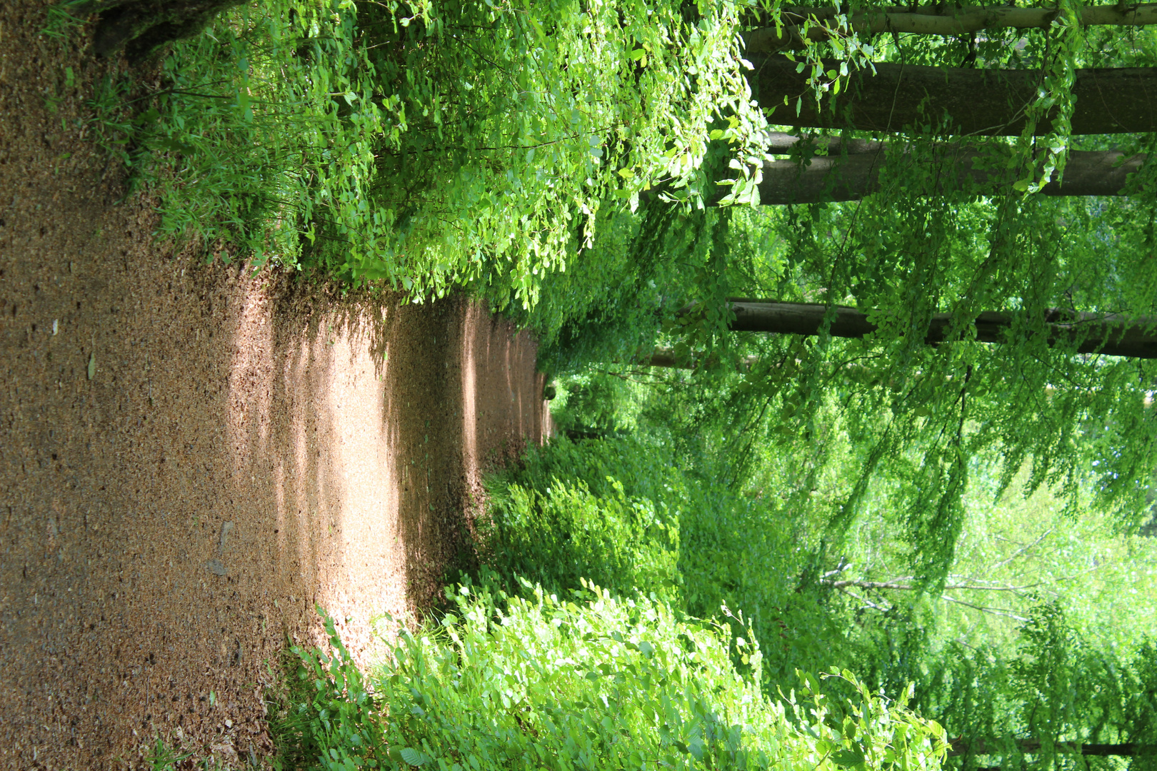 Wanderweg in der Holzbachschlucht