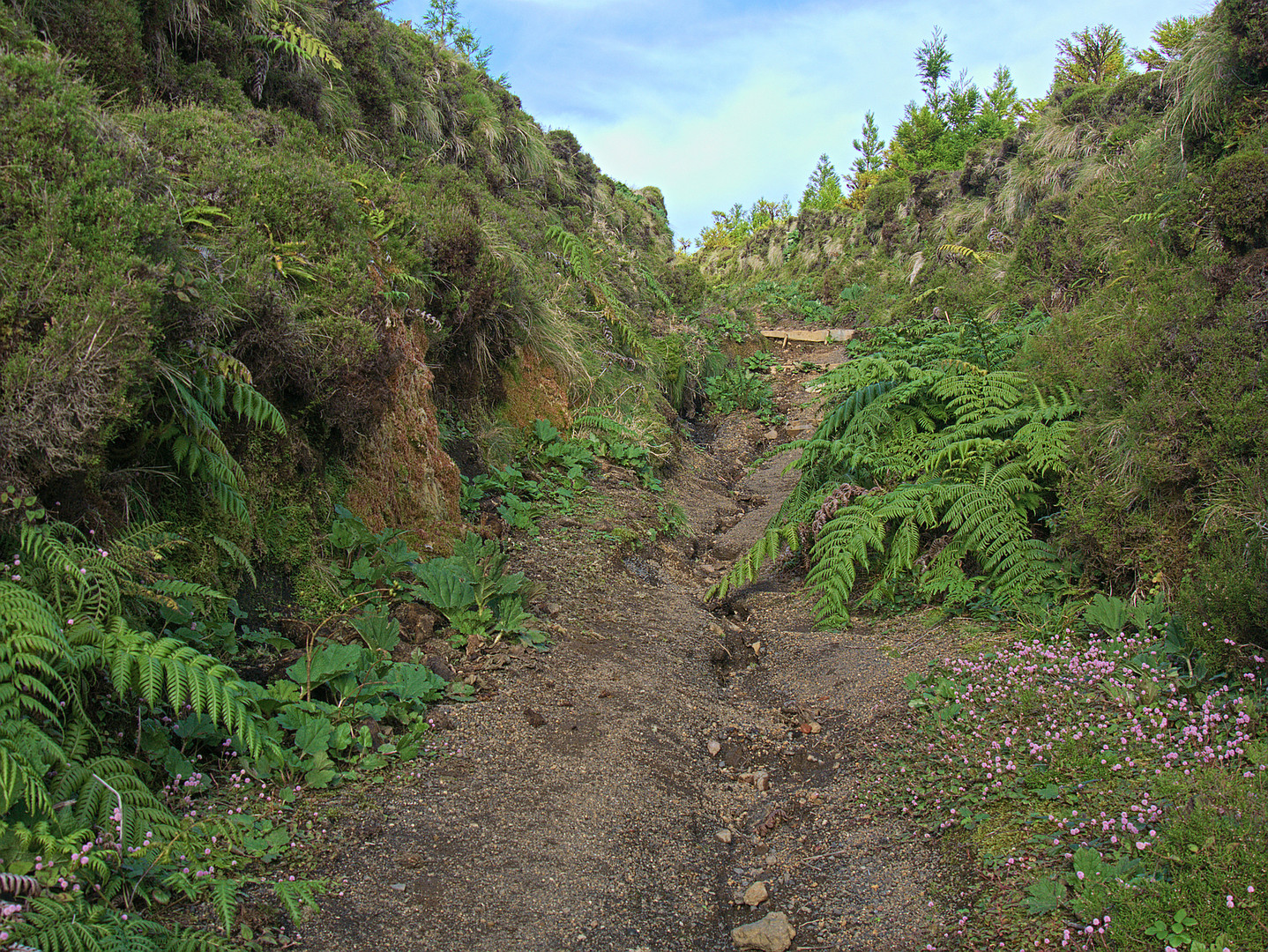 Wanderweg in der Nähe von Sete Cidades 