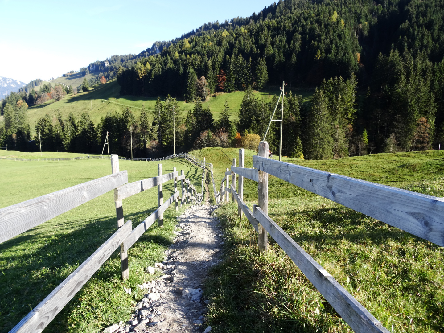 Wanderweg in der Schweiz