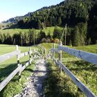 Wanderweg in der Schweiz