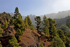 Wanderweg in La Palma