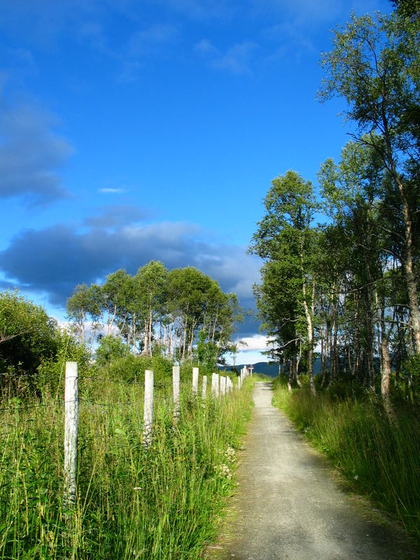 Wanderweg in Norwegen