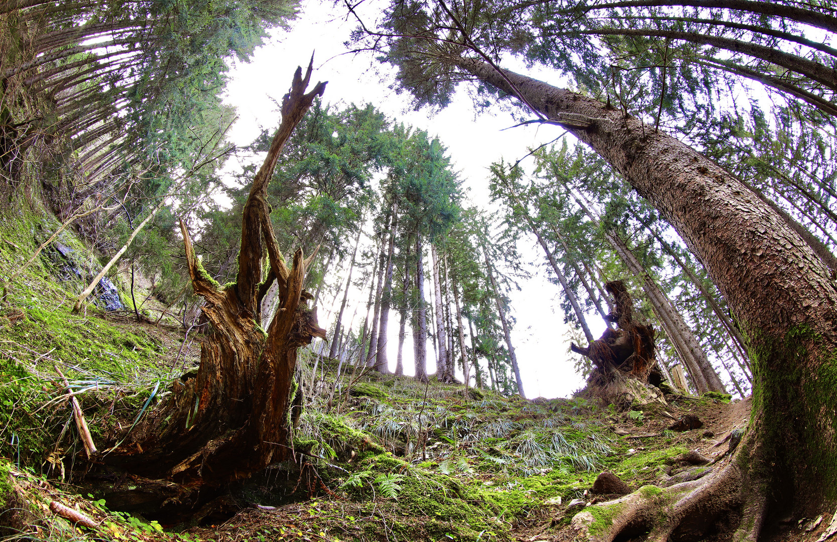 Wanderweg ins Etzlital