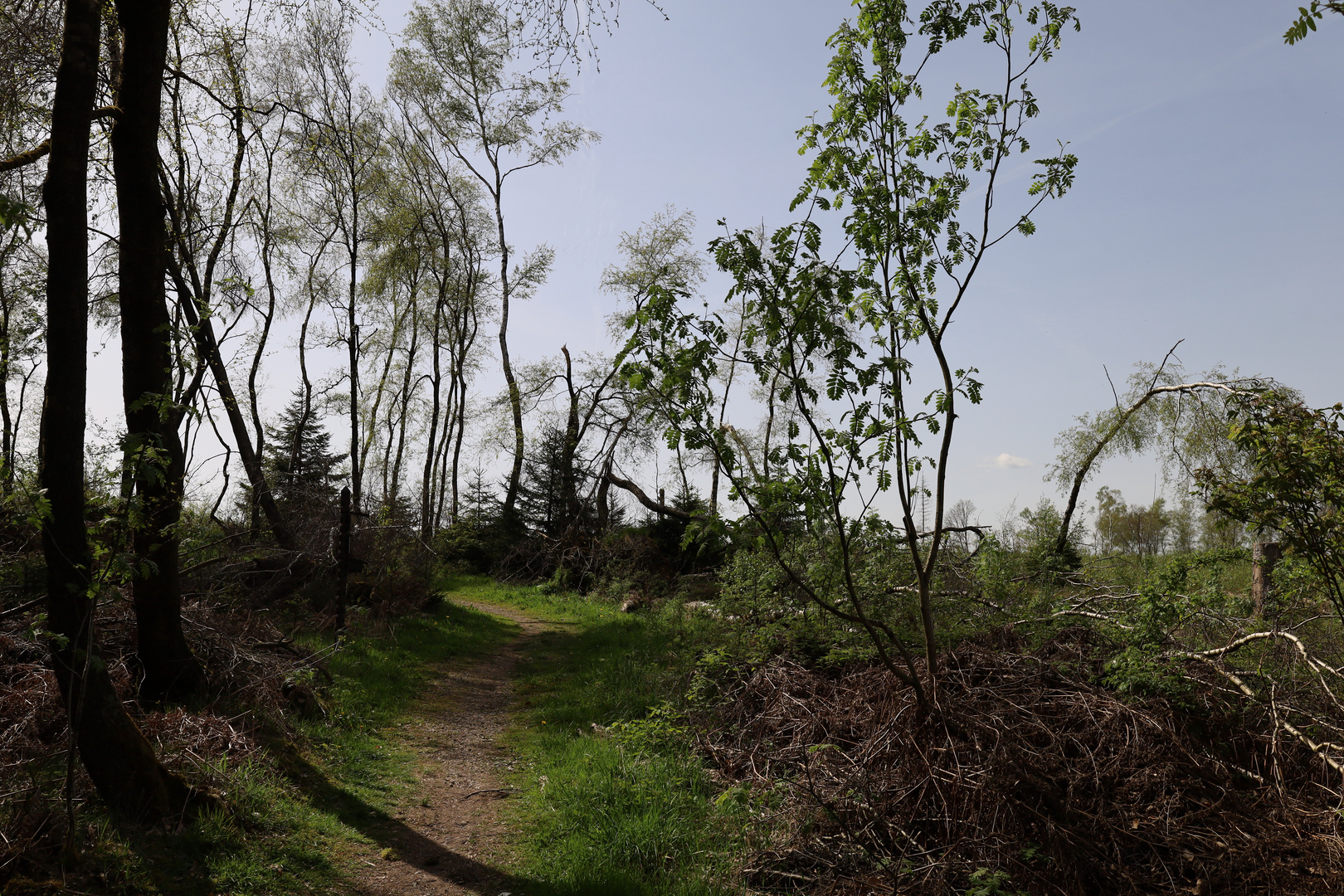 Wanderweg Kierspe Wienhagen