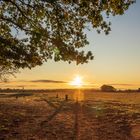 Wanderweg kurz nach Sonnenaufgang 