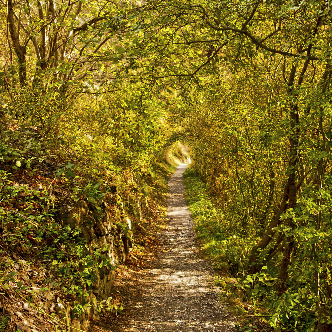 Wanderweg Langfigtal