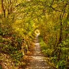 Wanderweg Langfigtal