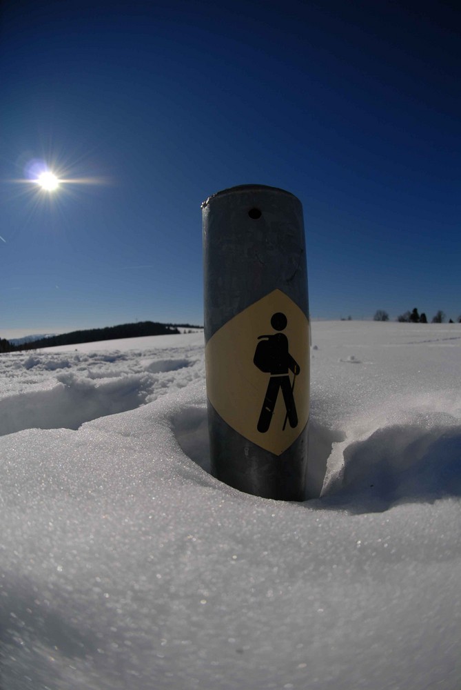 Wanderweg leicht erhöht