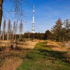 Wanderweg, Loipe und WDR-Sendeturm