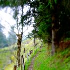 Wanderweg, Lungenstutz, Maderanertal