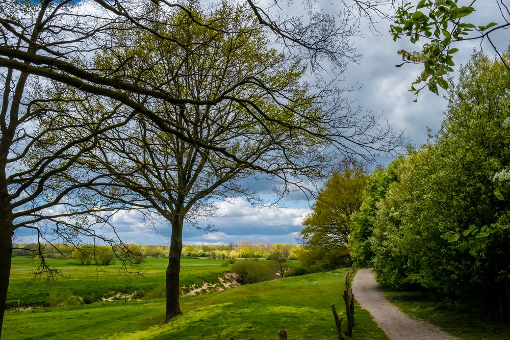 Wanderweg mit Ausblick