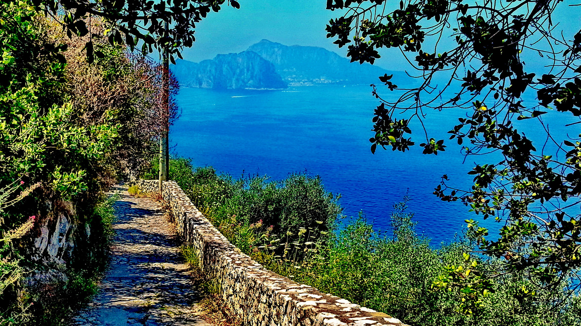 Wanderweg mit Blick auf Capri