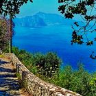 Wanderweg mit Blick auf Capri
