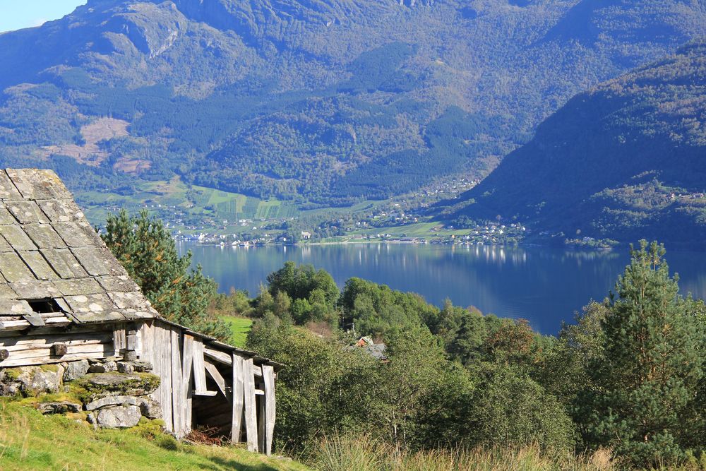 Wanderweg mit Blick auf den Fjord