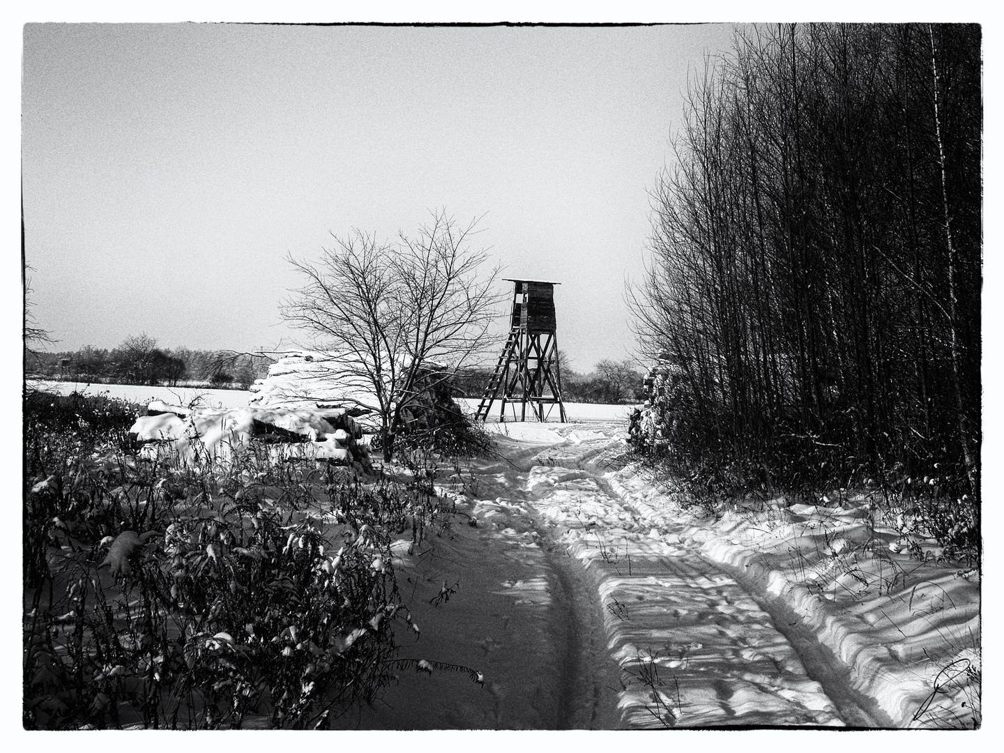 Wanderweg mit Hochsitz