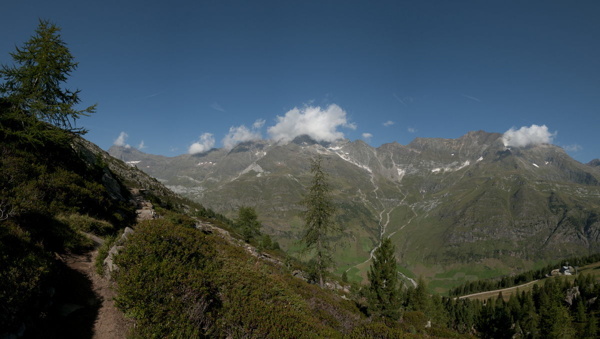 Wanderweg mit schönem Ausblick...