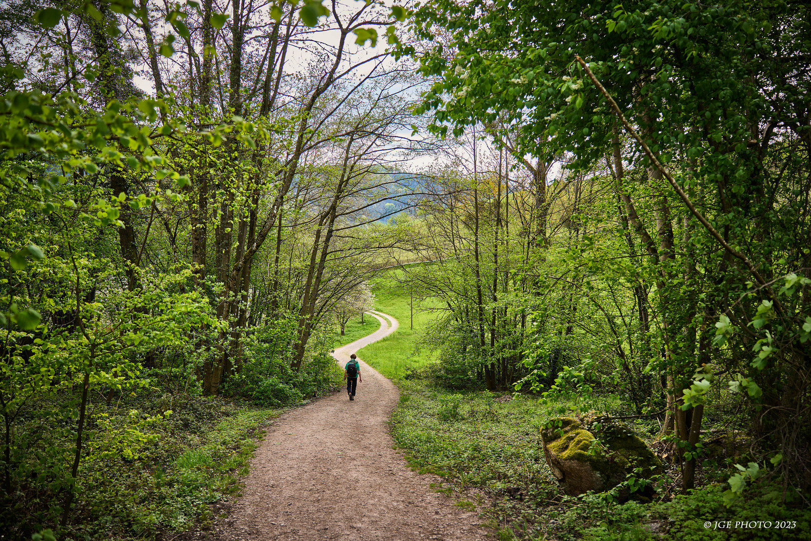 Wanderweg Mühlenweg Ottenhöfen mit Wanderin