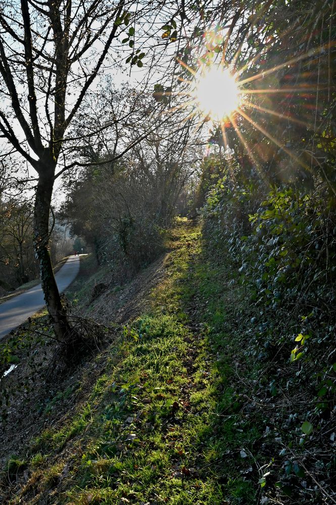 Wanderweg neben dem Radweg im Kochertal