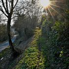 Wanderweg neben dem Radweg im Kochertal