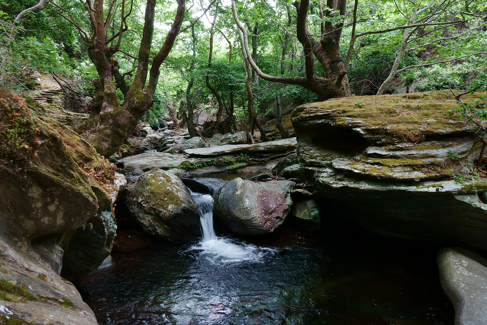 Wanderweg Nr. 6 auf der Insel Andros