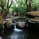 Wanderweg Nr. 6 auf der Insel Andros