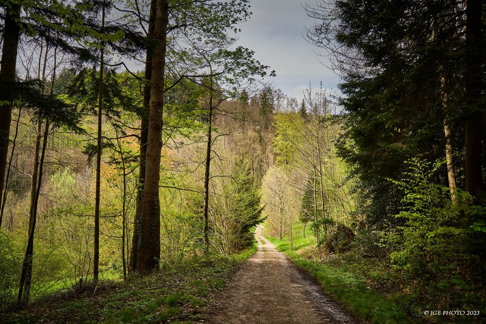 Wanderweg Ottenhöfen Mühlenweg