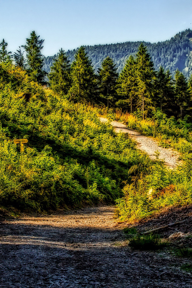 Wanderweg - Pseudo - HDR